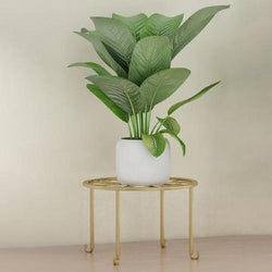Modern Iron Plant Stand Black Golden Indoor Outdoor